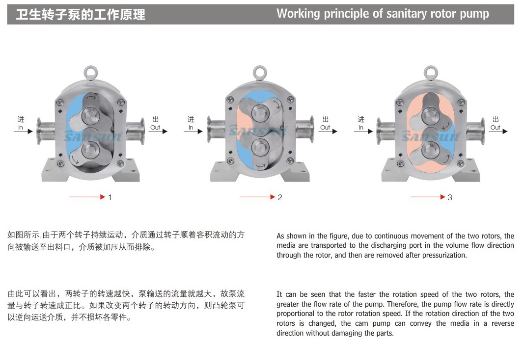рабочая принцип-санитарно-ротор насоса